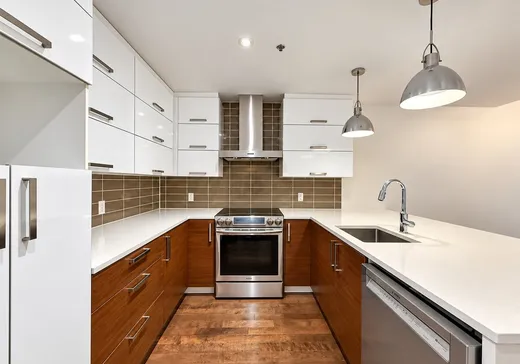 Condo à vendre - 1811 Rue William, App. 112, Montréal (Centreville), H3J 0A7