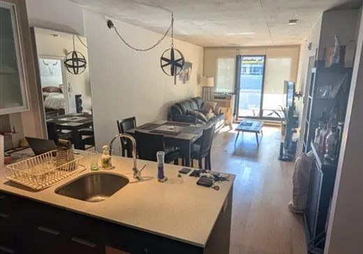 Condo à vendre - 300 Rue Ann, App. 508, Montréal (Centreville), H3C2K2