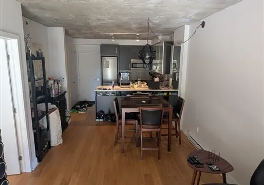 Condo à vendre - 300 Rue Ann, App. 508, Montréal (Centreville), H3C 2K2