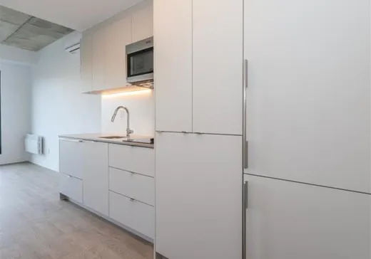 Condo à vendre - 2660 Rue Ontario E., App. 207, Montréal (Centreville), H2K 4K4
