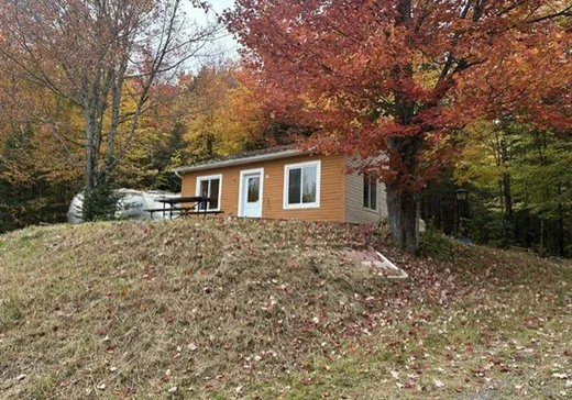 House for sale - 226 Ch. Poulin, Dudswell, J0B 1G0