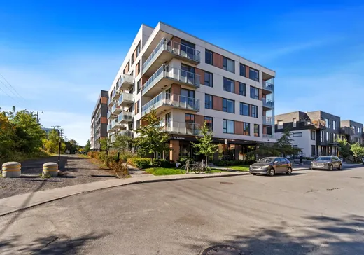Loft for sale - 4820 4e Avenue, App. 511, Montreal (Rosemont–La Petite-Patrie), H1Y0C9
