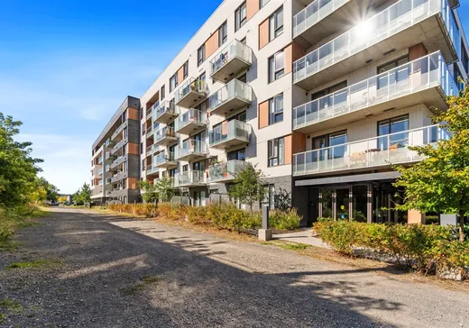Loft for sale - 4820 4e Avenue, App. 511, Montreal (Rosemont–La Petite-Patrie), H1Y 0C9