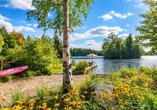 Maison à vendre - 1083 Ch. Dunant, Ste-Anne-Des-Lacs, J0R 1B0