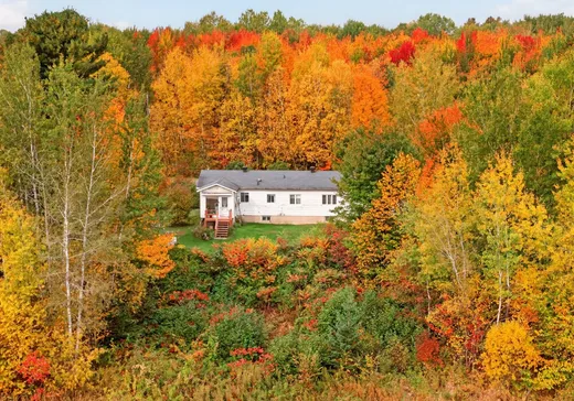 Fermette à vendre - 2352Z Rg de la Rivière-de-l'Est, Sainte-Clotilde-de-Horton, J0A 1H0