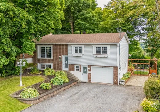 Maison à vendre - 217 Rue des Bouleaux, Fleurimont, J1G 3V8