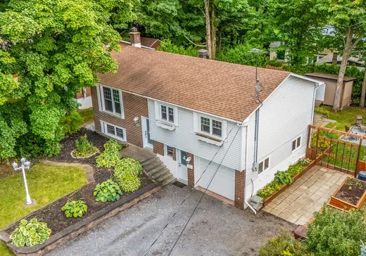 Maison à vendre - 217 Rue des Bouleaux, Fleurimont, J1G 3V8
