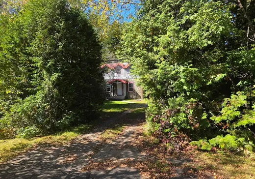 Maison à vendre - 119 Av. St-Denis, Saint-Sauveur, J0R 1R3