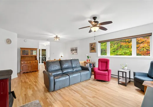 Maison à vendre - 191 Rue Michel, St-Adolphe d'Howard, J0T 2B0