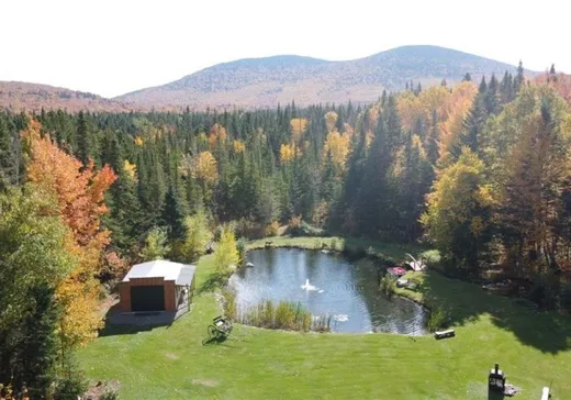 House for sale - 75 Ch. du 39, Notre-Dame-Des-Boies, J0B 2E0