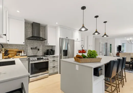 Maison à vendre - 158 Ch. des Mésanges, Mont-Tremblant, J8E 2C9