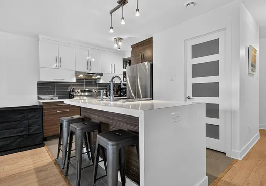 Condo for sale - 45 Rue Rémi-Dansereau, Beloeil, J3G 0N6