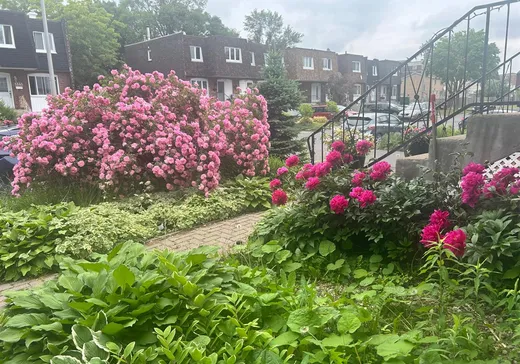 Maison à vendre - 1325 Rue Pellerin, Brossard, J4W 2L2
