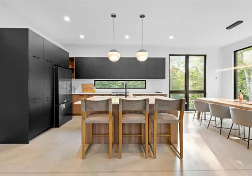 Maison à vendre - 90 Rue du Mont-Sanford, Mont-Tremblant, J0T 1M0