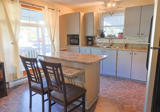 Maison à vendre - 448 Rue Stanley, Saint-Hyacinthe, J0E 1Z0