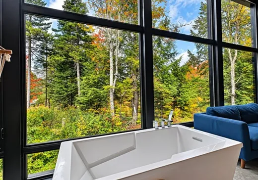 Maison à vendre - 87 Allée Verte, Eastman, J0E 1P0
