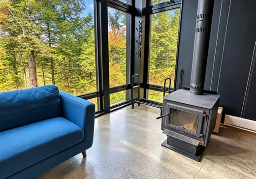 Maison à vendre - 87 Allée Verte, Eastman, J0E 1P0