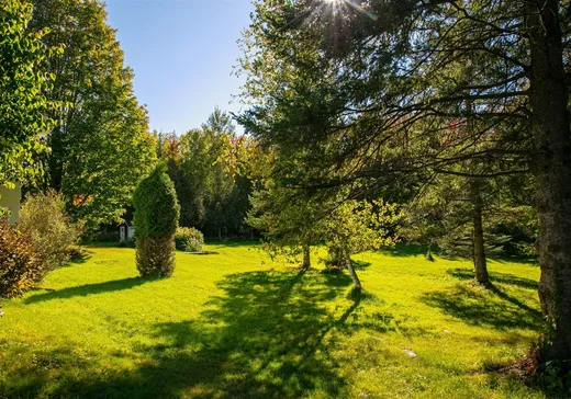 Maison à vendre - 290 Route 108, Cookshire-Eaton, J0B 1M0