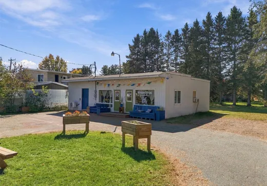 Maison à vendre - 2371 Av. Principale, St-Élie-de-Caxton, G0X 2N0