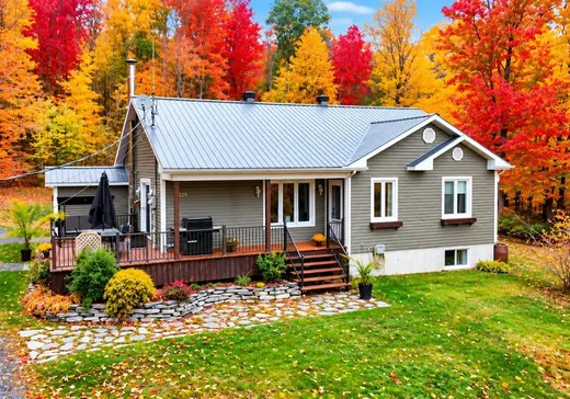 House for sale - 229 Ch. de la Rivière-Bécancour, Inverness, G0S 1K0