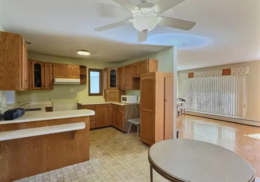 Maison à vendre - 115 Rue Lévesque, Sherbrooke, J1E 1M4