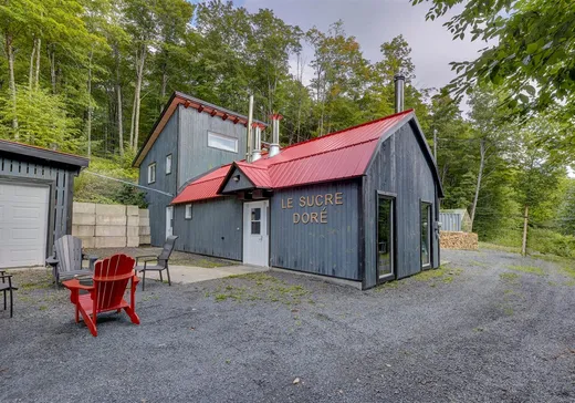 Maison à étages à vendre - 82 Rue des Érables, Sainte-Sabine-de-Bellechasse, G0R4H0