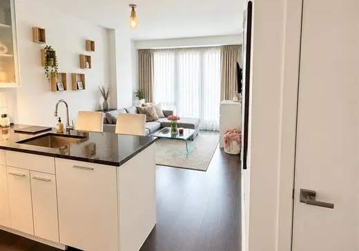 Condo à vendre - 1000 Rue Ottawa, App. 829, Montréal (Centreville), H3C 0P3