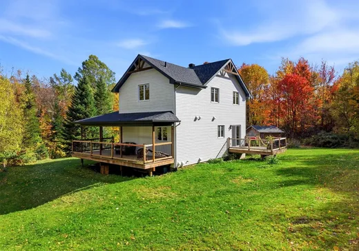 Maison à vendre - 29 Ch. de la Prairie, Mansonville, J0E 1X0