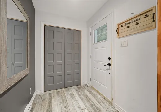 Maison à vendre - 29 Ch. de la Prairie, Mansonville, J0E 1X0