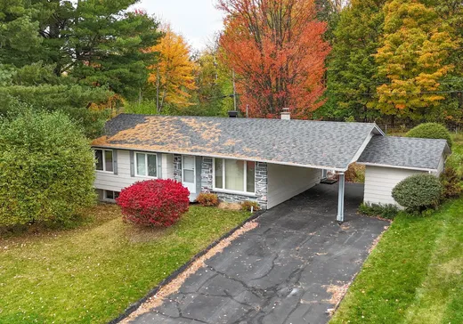 Maison à étages à vendre - 115 Rue Lévesque, Sherbrooke, J1E1M4