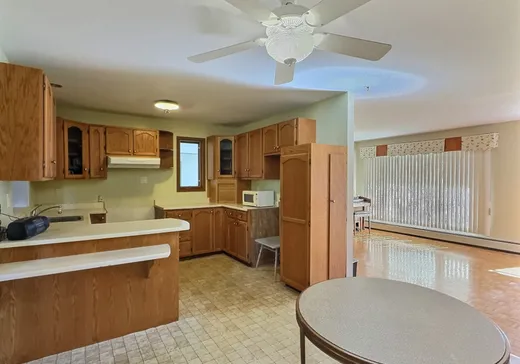 Maison à vendre - 115 Rue Lévesque, Sherbrooke, J1E 1M4