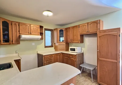 Maison à vendre - 115 Rue Lévesque, Sherbrooke, J1E 1M4