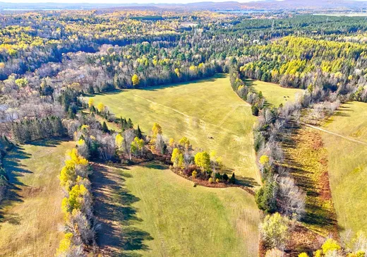 Maison à vendre - 1397 Ch. de la Mullen, Rivière-Rouge, J0T 1T0