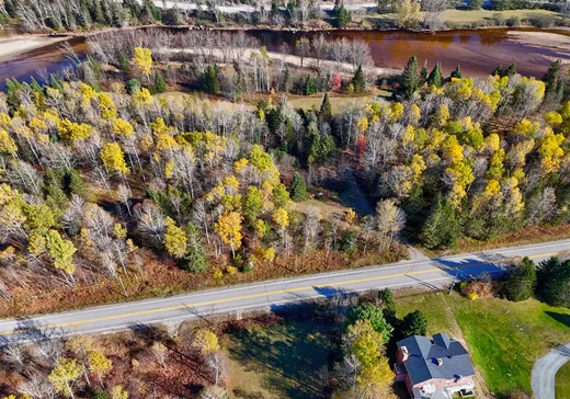Maison à vendre - 1397 Ch. de la Mullen, Rivière-Rouge, J0T 1T0