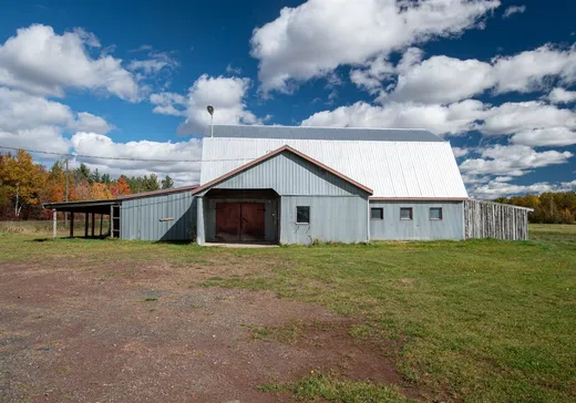 Hobby Farm for sale - 1099Z Route 263 N., Plessisville, G6L 5H4