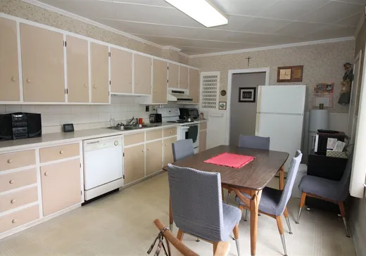Maison à vendre - 170 Boul. Norbert-Morin, Sainte-Agathe-des-Monts, J8C 2W3