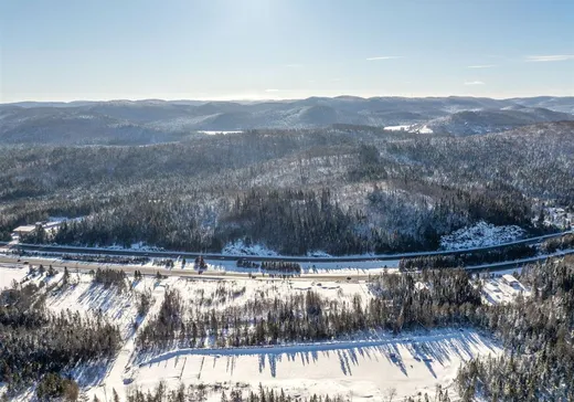 Maison à vendre - 100 Route 117, Sainte-Agathe-des-Monts, J8C 2Z8