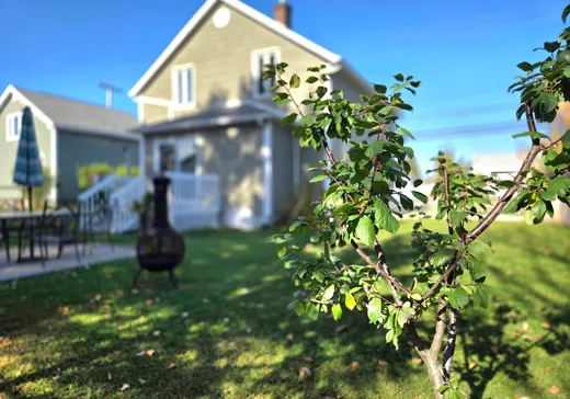 Maison à vendre - 201 Rue St-Joseph, Matane, G4W 1N5