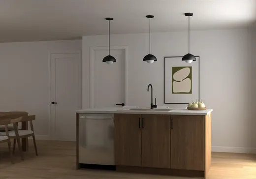 Maison à vendre - 157 Rue Joseph-Émond, Sherbrooke, J1C 0X4