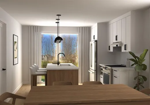 Maison à vendre - 157 Rue Joseph-Émond, Sherbrooke, J1C 0X4