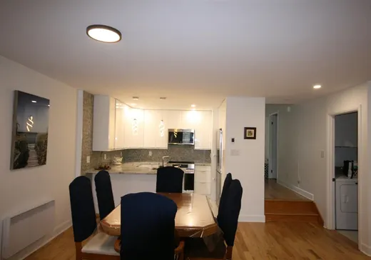 Condo for sale - 2228 Rue Honoré-Beaugrand, Montreal (Mercier/Hochelaga-Maisonneuve), H1L 5X7