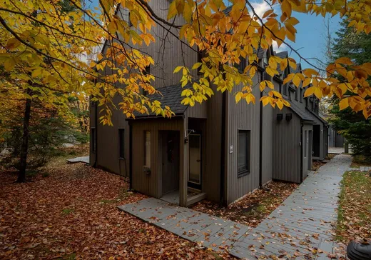 Condo for sale - 285 Ch. des Grappes, App. 104, Saint-Sauveur, J0R1K0