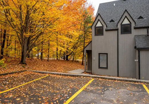 Condo à vendre - 285 Ch. des Grappes, App. 104, Saint-Sauveur, J0R 1K0