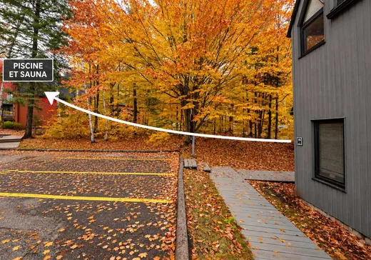 Condo à vendre - 285 Ch. des Grappes, App. 104, Saint-Sauveur, J0R 1K0