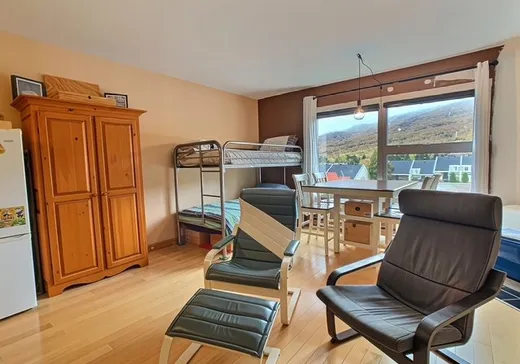 Condo for sale - 110 Rue de la Tourbe, App. 306, St-Ferreol-les-Neiges, G0A3R0