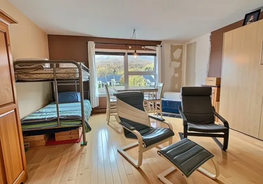 Condo for sale - 110 Rue de la Tourbe, App. 306, St-Ferreol-les-Neiges, G0A 3R0