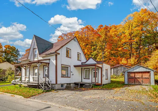 Bungalow à vendre - 315 Rue Principale, Saint-Thuribe, G0A4H0