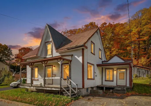 Maison à vendre - 315 Rue Principale, Saint-Thuribe, G0A 4H0