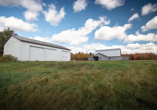 Hobby Farm for sale - 1099Z Route 263 N., Plessisville, G6L 5H4