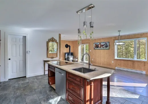 House for sale - 95 Ch. de l'Ours, Notre-Dame-Des-Boies, J0B 2E0